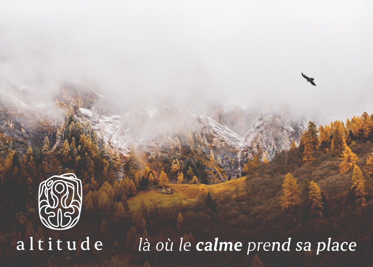 Verso du bon cadeau — paysage de montagne